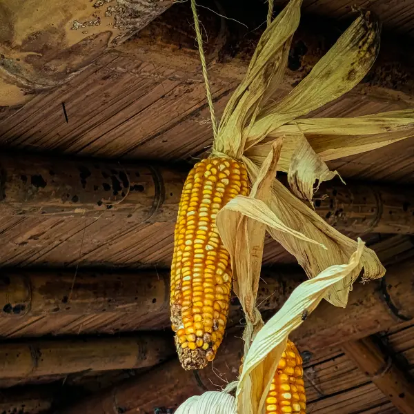 Experiencia de turismo comunitario