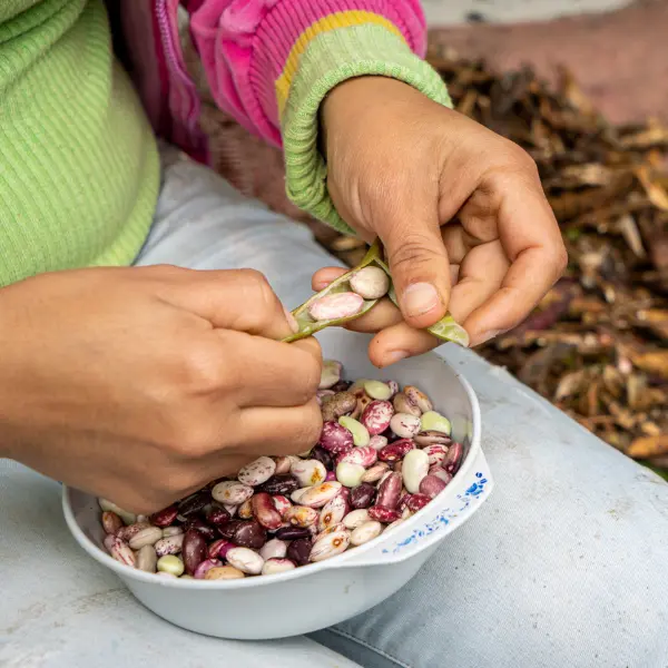 Experiencia de turismo comunitario