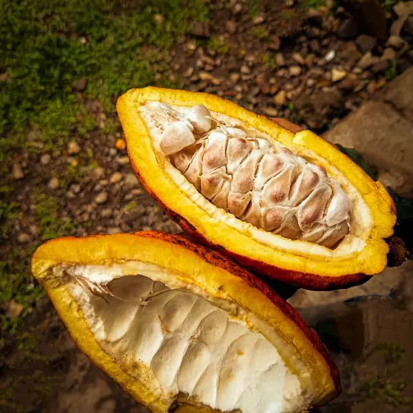 imagen Experiencias gastronómicas